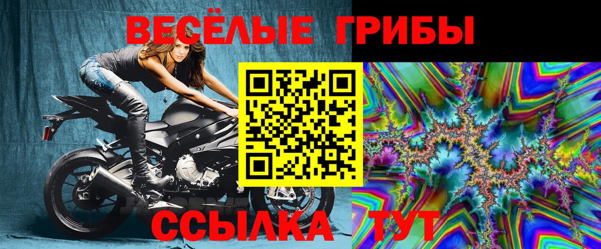Псилоцибиновые грибы Psilocybe Миасс