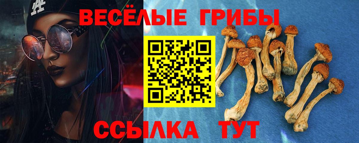Миасс  Галлюциногенные грибы Psilocybe  Вход с VPN  Галлюциногенные грибы мухоморы 
